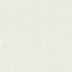 Rasch - 507041 - paperhangings Tapetenwechsel II Papier peint non tisse Blanc 1005 x 053 m