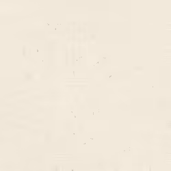 Rasch - 520828 - Papier peint intisse universel Blanc 1005 x 053 m