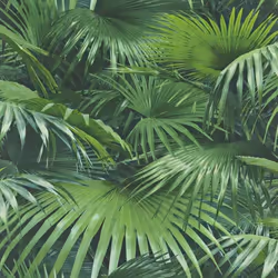 Rasch Crispy Paper 524901 papier peint intissé nature 0.53 m x 10.05 m vert