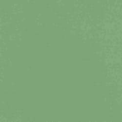 Rasch Club Botanique + Claas II 537918 papier peint intissé uni 0.53 m x 10.05 m vert