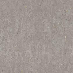 papier peint intissé 538335 papier peint industriel 53 x 1005 cm Rasch Curiosity gris