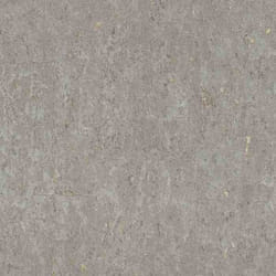 papier peint intissé 538335 papier peint industriel 53 x 1005 cm Rasch Curiosity gris
