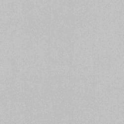Rasch Color Your Life 633733 Papier peint intissé Uni 0.53 x 10.05 m Argent