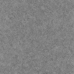 Papier peint intissé 649307 papier peint intissé uni 53 x 1005 cm Rasch Welcome Home gris
