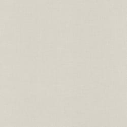 Rasch Rhapsody 688047 Papier peint intissé Uni 0.53 x 10.05 m Gris