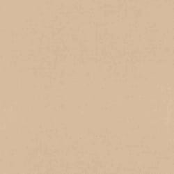 papier peint intissé 690774 papier peint intissé uni 53 x 1005 cm Rasch Rhapsody marron