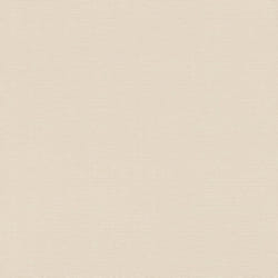 Papier peint intissé 734041 papier peint intissé uni 53 x 1005 cm Rasch Deco Style Beige