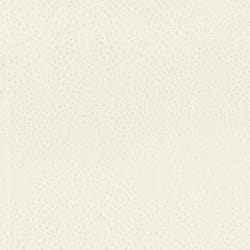 papier peint intissé 751536 papier peint animaux 53 x 1005 cm Rasch African Queen III blanc