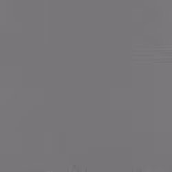 Papier peint intissé 804522 papier peint intissé uni 53 x 1005 cm Rasch Unsere Besten 2022 Gris