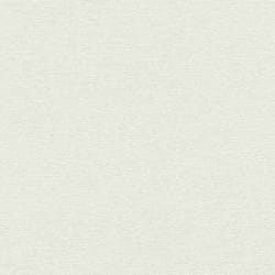 papier peint intissé 804546 papier peint intissé uni 53 x 1005 cm Rasch Unsere Besten 2022 blanc
