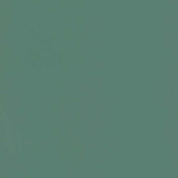 Rasch Selection 807615 Papier peint intissé Uni 10.05 x 0.53 m Vert