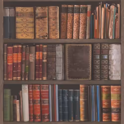 Papier peint - Rasch - Livres de bibliothèque - Marron - 53cm - Uni - A coller