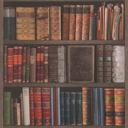 Papier peint - Rasch - Livres de bibliothèque - Marron - 53cm - Uni - A coller