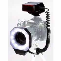 Dörr 371023, 223 g