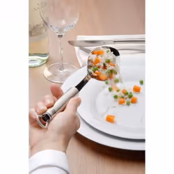 WMF 18.7246.6030 cuillère Cuillère de service Acier inoxydable 1 pièce(s)