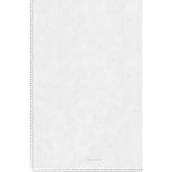 Papier Peint Uni Gris Clair
