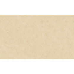 Papier Peint Uni Aspect Patiné