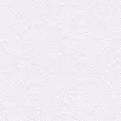 A.S. Creation Shades of White 942319 Papier Peint Papier Structuré 10.05 x 0.53 m Blanc