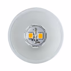 Paulmann 283.29 ampoule LED 1,8 W GU4 G