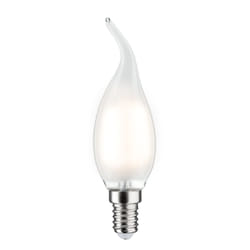 Paulmann 283.62 ampoule LED 2,5 W E14
