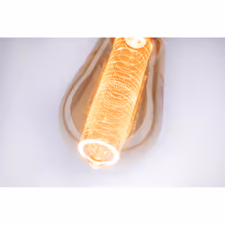 Paulmann 285.99 ampoule LED 4 W E27