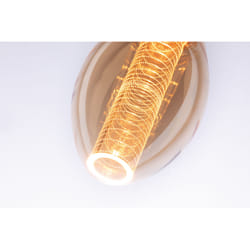 Paulmann 286.01 ampoule LED 4 W E27
