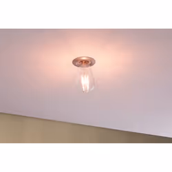 Paulmann 287.03 ampoule LED 7,5 W E27