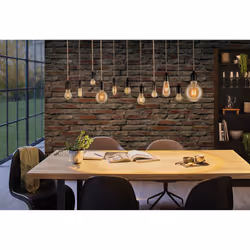 Paulmann 287.05 ampoule LED 4,7 W E14
