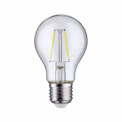 Paulmann 287.24 ampoule LED 1,1 W E27