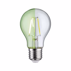 Paulmann 287.24 ampoule LED 1,1 W E27