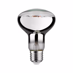 Paulmann 287.33 ampoule LED 6,5 W E27