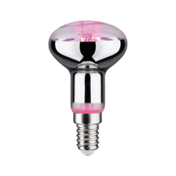 Paulmann 287.34 ampoule LED 4 W E14
