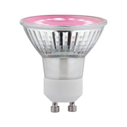 Paulmann 287.36 ampoule LED 3,5 W GU10