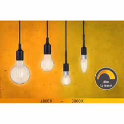Paulmann 28776 ampoule LED 7 W E27 E