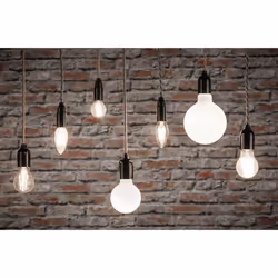Paulmann 28789 ampoule LED 4,5 W E14 F