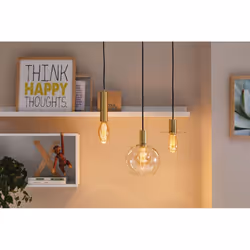 Paulmann 28829 ampoule LED 3,6 W E27