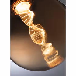 Paulmann Helix ampoule LED 3,5 W E27