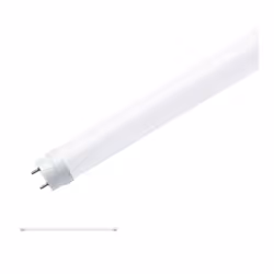 Paulmann 28994 ampoule LED Lumière de jour 6500 K 9,5 W G13 F