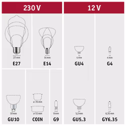 Paulmann 29075 ampoule LED Blanc chaud 2700 K 5,9 W E14 D