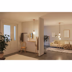 Paulmann 29078 ampoule LED Blanc chaud 3000 K 4,3 W E27 F - Vue supplémentaire 2