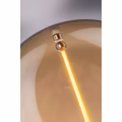 Paulmann 29185 ampoule LED 1800 K 2,8 W E27 G