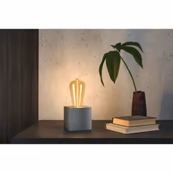Paulmann 29185 ampoule LED 1800 K 2,8 W E27 G