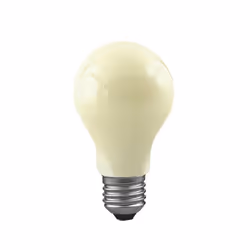 Paulmann 460.60, Ampoule en forme de poire, 60 W, E27, E27, 328 lm, 1000 h