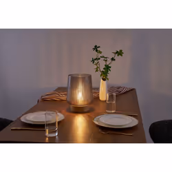 Paulmann 48311 lampe de table E27 0,8 W LED Taupe