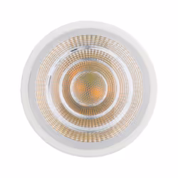 Paulmann Zigbee Ampoule intelligente Blanc 5,5 W