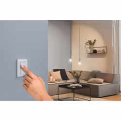 Paulmann 50134 interrupteur d'éclairage Plastique Blanc