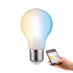 Paulmann 503.91 ampoule LED 40 W E27 F