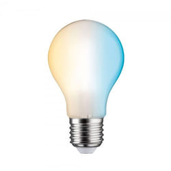 Paulmann 503.92 ampoule LED 60 W E27 E