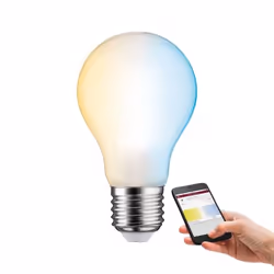 Paulmann 503.92 ampoule LED 60 W E27 E