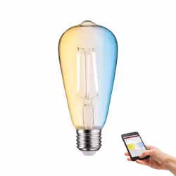 Paulmann 503.95 ampoule LED 60 W E27 E